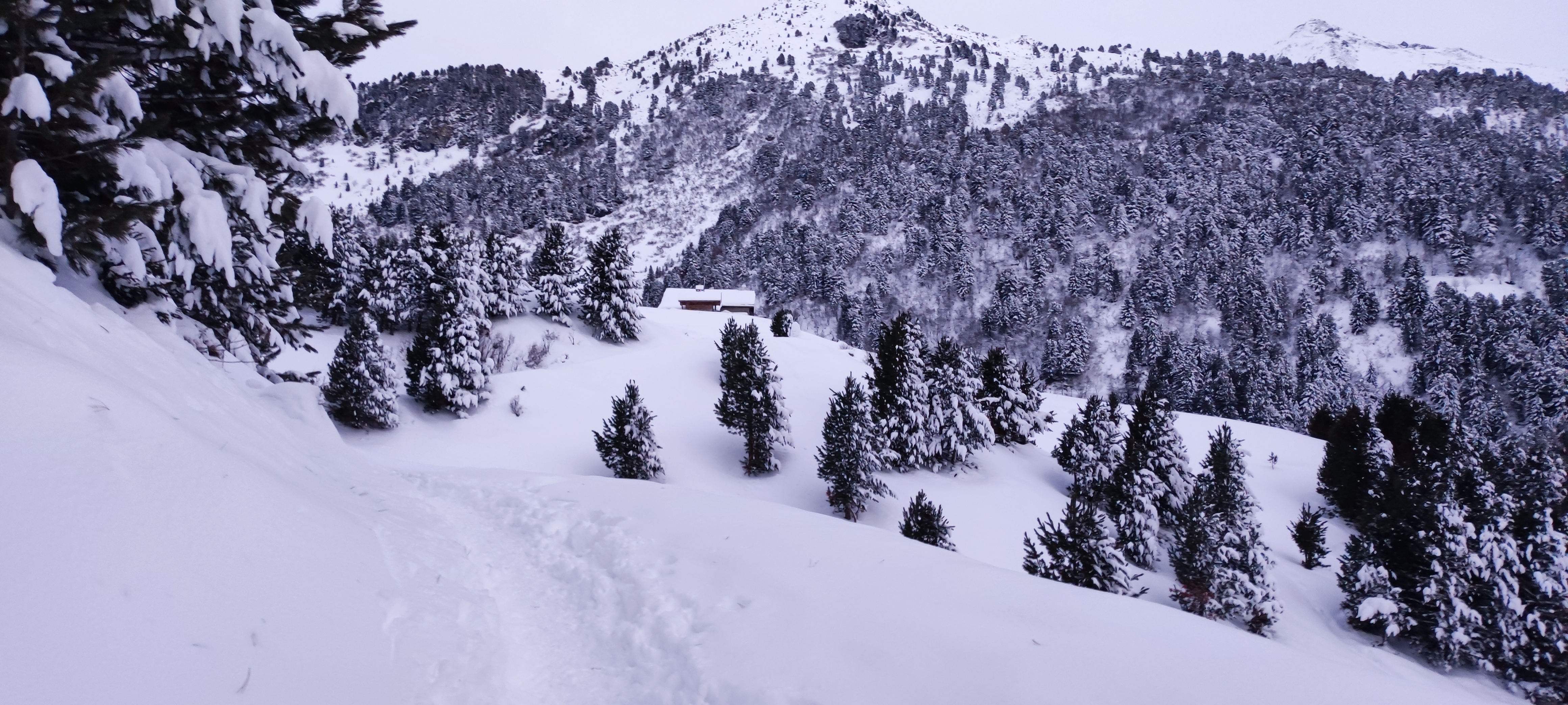 Photo n° 2 de l'avis de Nicolas.a fait le 19/01/2023 à 18:17