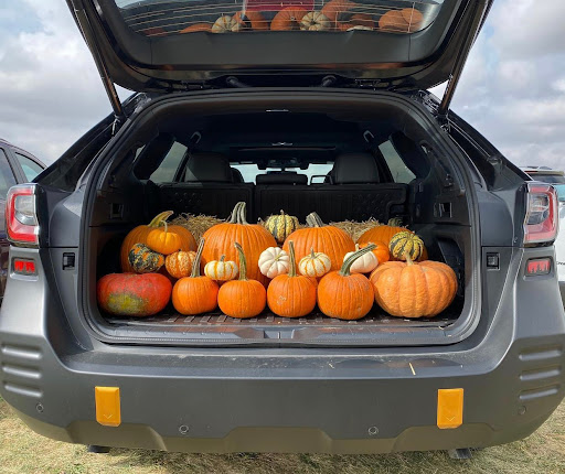 Subaru Dealer «Flemington Subaru», reviews and photos, 167 NJ-31, Flemington, NJ 08822, USA