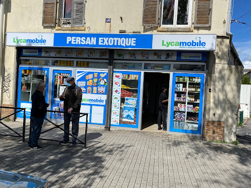 Persan Exotique à Persan