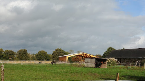 Centre équestre Centre equestre - Les ecuries de mandy (44540) Le Pin