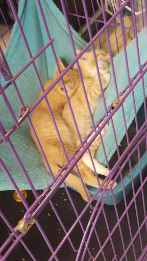 Pet Supply Store «Pet Supplies Plus», reviews and photos, 987 S Main St, Centerville, OH 45458, USA