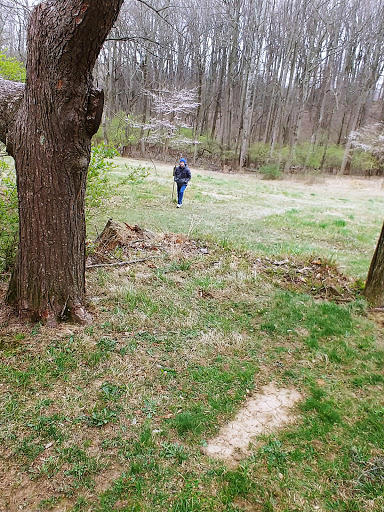 Nature Preserve «Woodend Sanctuary», reviews and photos, 8940 Jones Mill Rd, Chevy Chase, MD 20815, USA