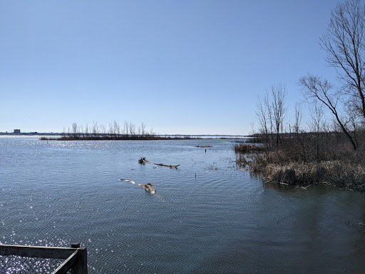 Pet Supply Store «The Bird House», reviews and photos, 1915 Lake Ave, Muskegon, MI 49445, USA