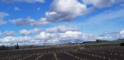 Golf Course «Oak Knoll Golf Course & Driving Range», reviews and photos, 6335 OR-22, Independence, OR 97351, USA