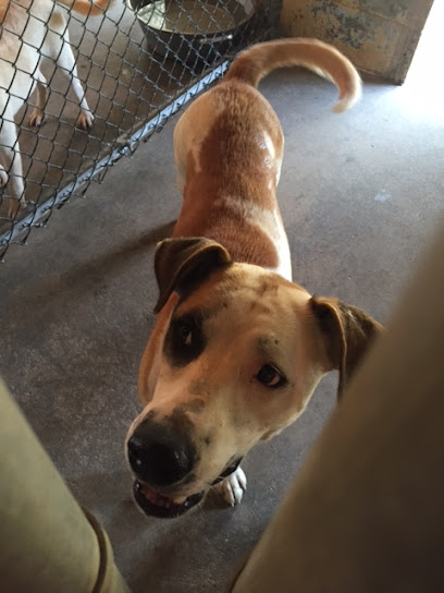 Ozark Animal Control Shelter