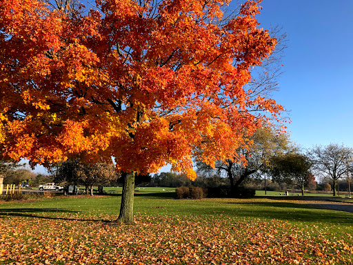 Golf Club «Highland Woods Golf Course», reviews and photos, 2775 Ela Rd, Hoffman Estates, IL 60192, USA