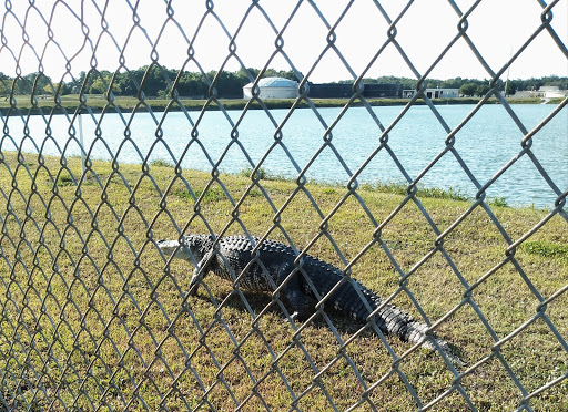 Golf Course «Buffalo Creek Golf Course», reviews and photos, 8100 69th St E, Palmetto, FL 34221, USA