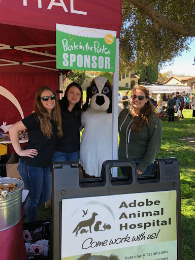 Adobe Animal Hospital South Bay image