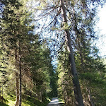 Photo n°6 de l'avis de 70amalia. fait le 16/07/2022 à 14:40 sur le  Putzalm à Niederdorf