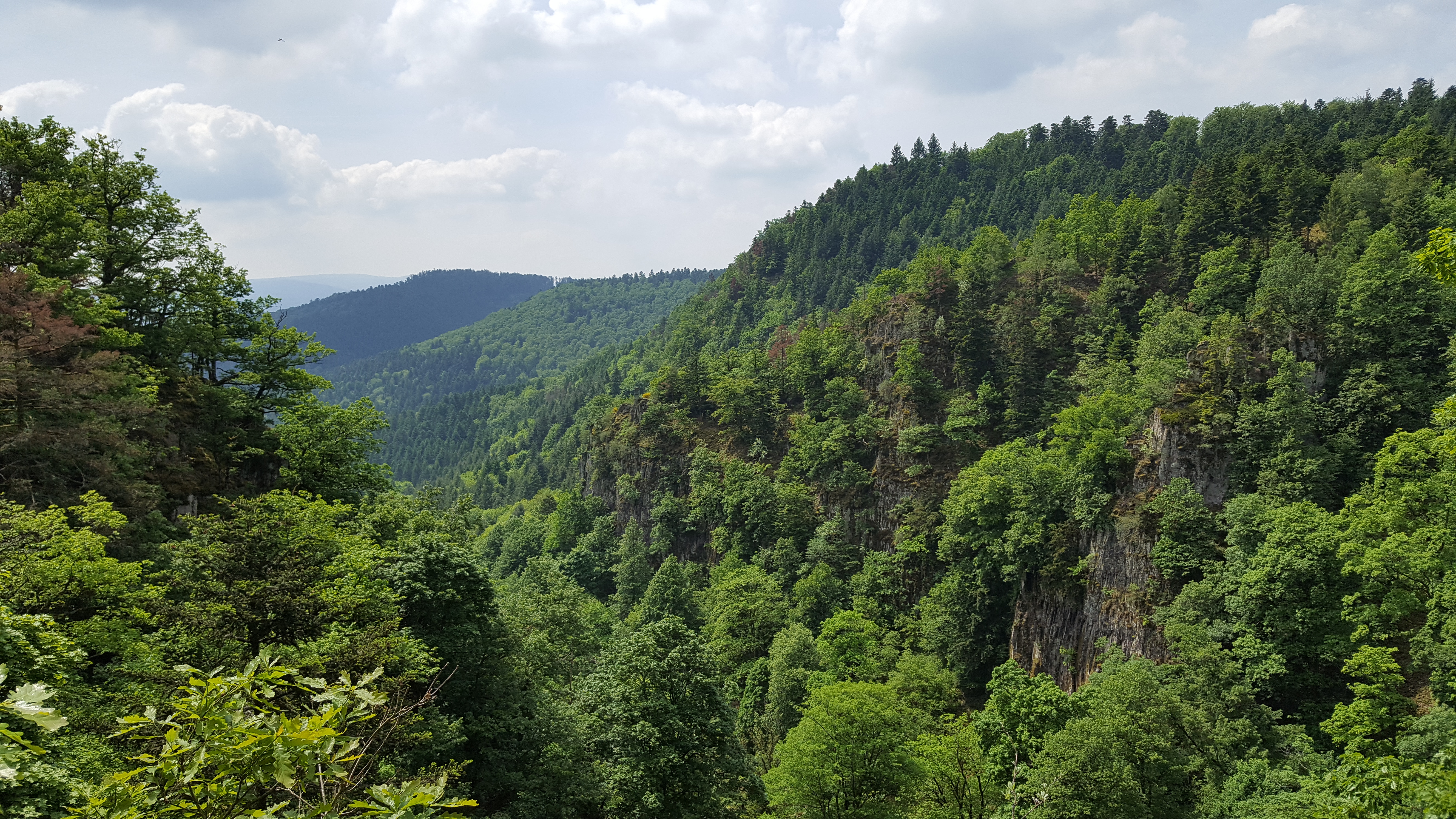 Photo n° 2 de l'avis de Aurelien.p fait le 25/05/2017 à 18:33