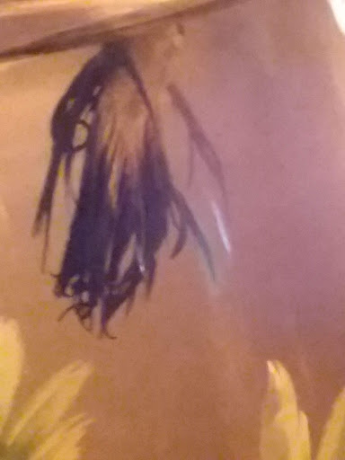 Pet Store «Pet World Warehouse Outlet», reviews and photos, 2984 S 108th St, Milwaukee, WI 53227, USA