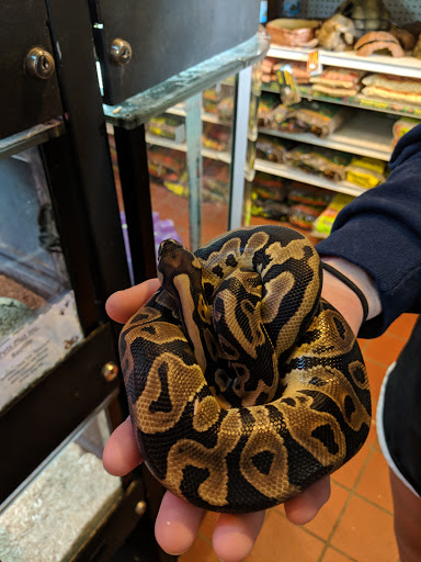 Pet Store «Pets Plus Inc», reviews and photos, 2610 Jefferson Davis Hwy, Stafford, VA 22554, USA