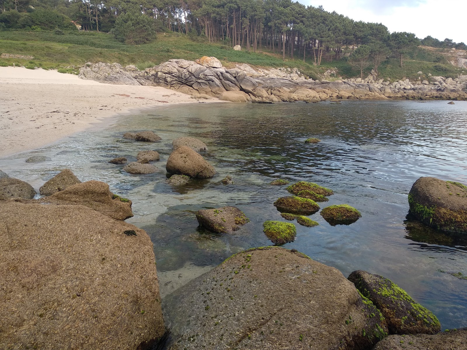 Foto van Praia do Ancoradoiro wilde omgeving