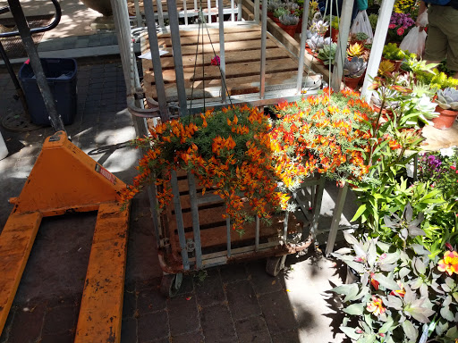 Restaurant «Coffee & More Cafe», reviews and photos, 100 S Murphy Ave #1, Sunnyvale, CA 94086, USA