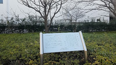 幸田文ゆかりの「ハンカチの木」