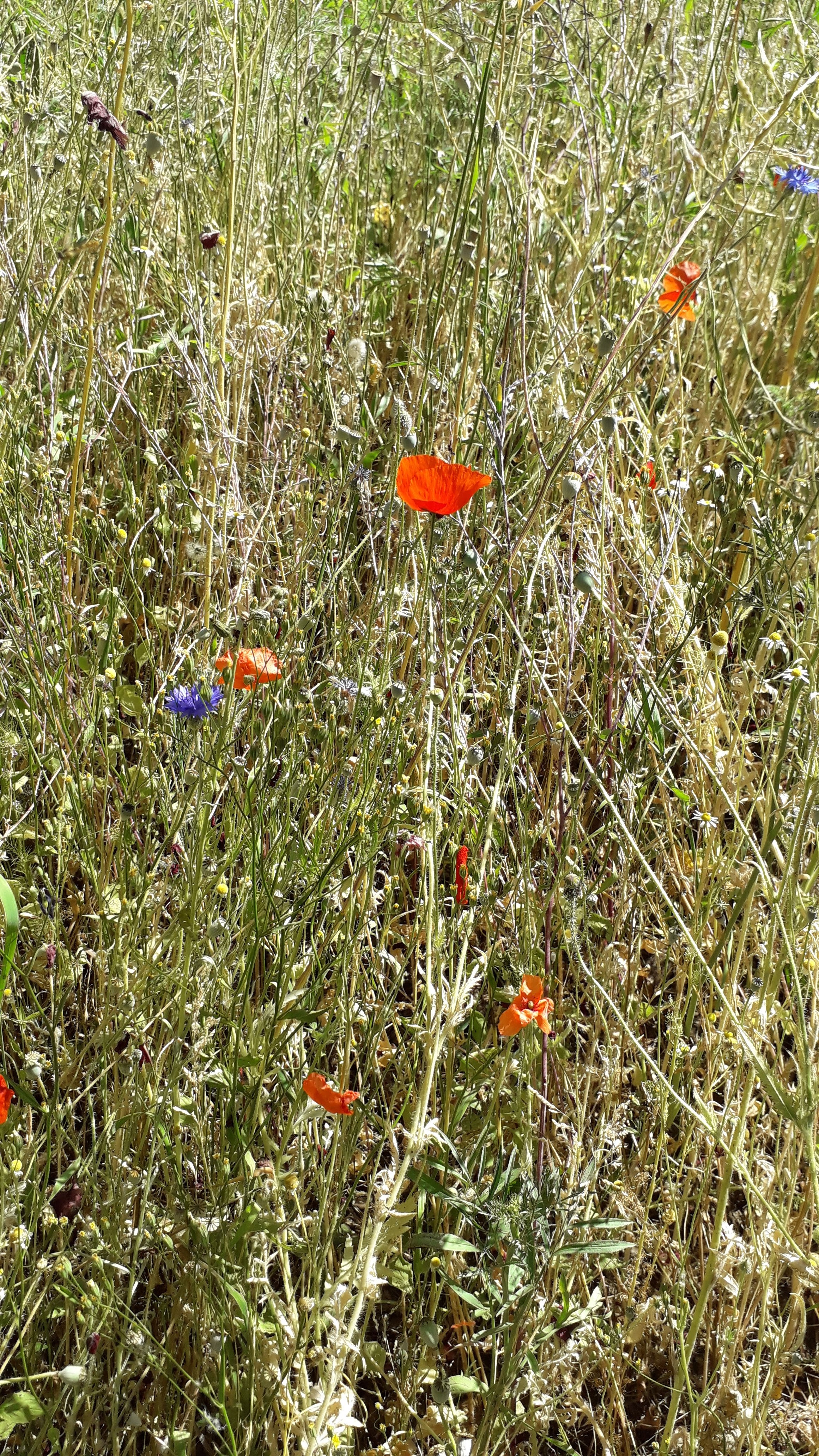 Photo n° 3 de l'avis de vicky.a fait le 06/06/2020 à 12:59