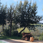 Photo n°9 de l'avis de mariacristina.a fait le 29/04/2023 à 05:12 sur le  Il Miraggio in Val d'Orcia Relais & Spa à San Quirico d'Orcia