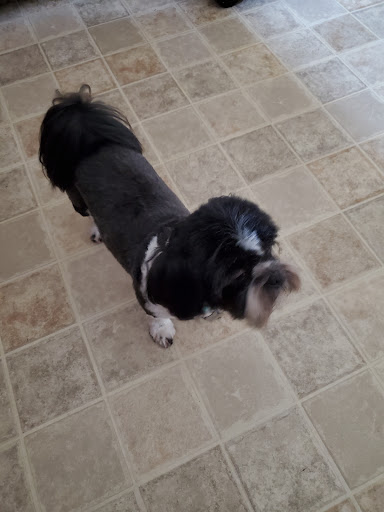 Pet Supply Store «The Dog House», reviews and photos, 4237 S Alameda St, Corpus Christi, TX 78412, USA