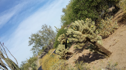 Golf Club «Desert Highlands Golf Club», reviews and photos, 10040 E Happy Valley Rd, Scottsdale, AZ 85255, USA