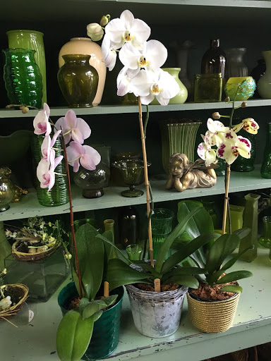 Florist «4 Seasons Florists, Inc», reviews and photos, 117 W Grand Ave, Eau Claire, WI 54703, USA