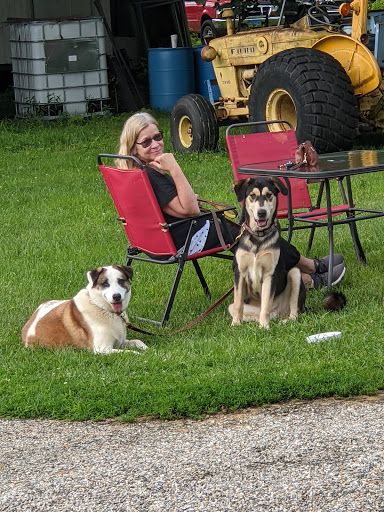 Winery «Lebanon Green Vineyards», reviews and photos, 589 Exeter Rd, Lebanon, CT 06249, USA