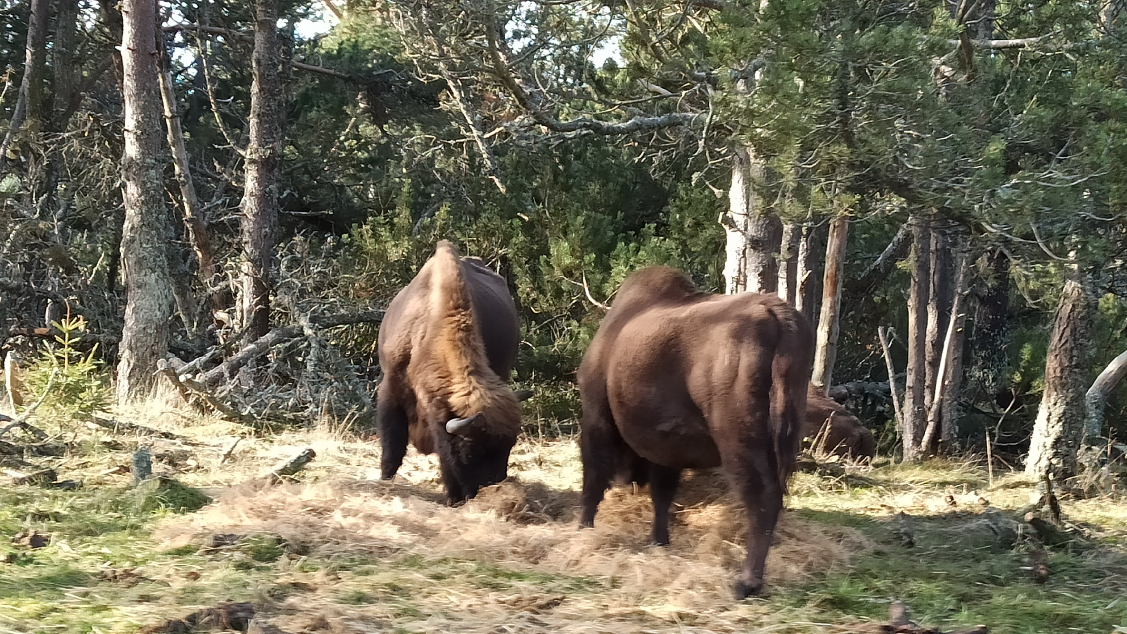Photo n° 4 de l'avis de Anne-France.r fait le 01/01/2023 à 09:14