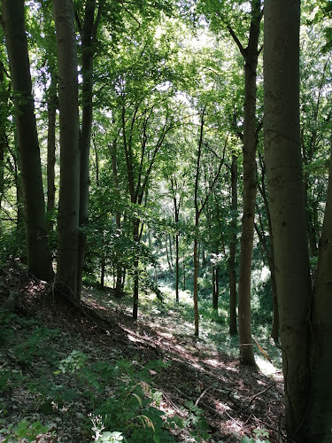 Comentarii opinii despre Hereg-réti parkoló