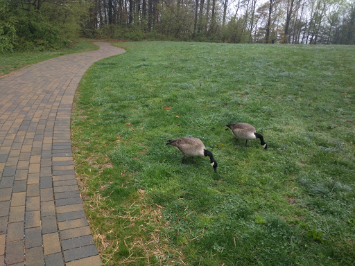 Memorial Park «Ox Hill Battlefield Park», reviews and photos, 4134 West Ox Rd, Fairfax, VA 22033, USA