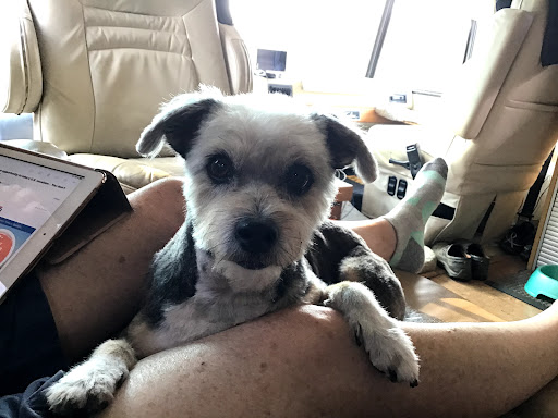 Pet Supply Store «Pets Earth», reviews and photos, 8410 S 73rd Plaza, Papillion, NE 68046, USA