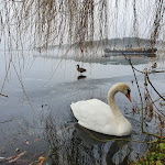 Photo n°3 de l'avis de Karin.u fait le 21/01/2022 à 07:31 sur le  Woltersdorfer Schleuse à Woltersdorf