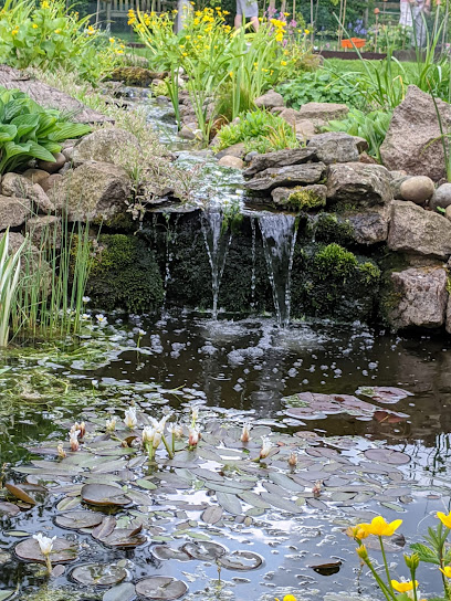 WildWater - Pond & Aquatic Garden Design