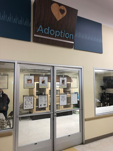 Pet Supply Store «Petco Animal Supplies», reviews and photos, 4820 South Baldwin Road #3B, Orion Township, MI 48359, USA