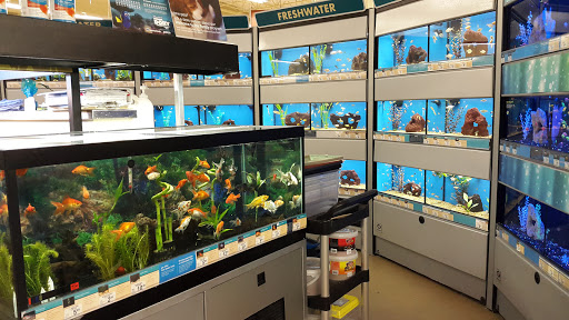 Pet Supply Store «Petco Animal Supplies», reviews and photos, 1350 S Ironton St #120, Aurora, CO 80012, USA