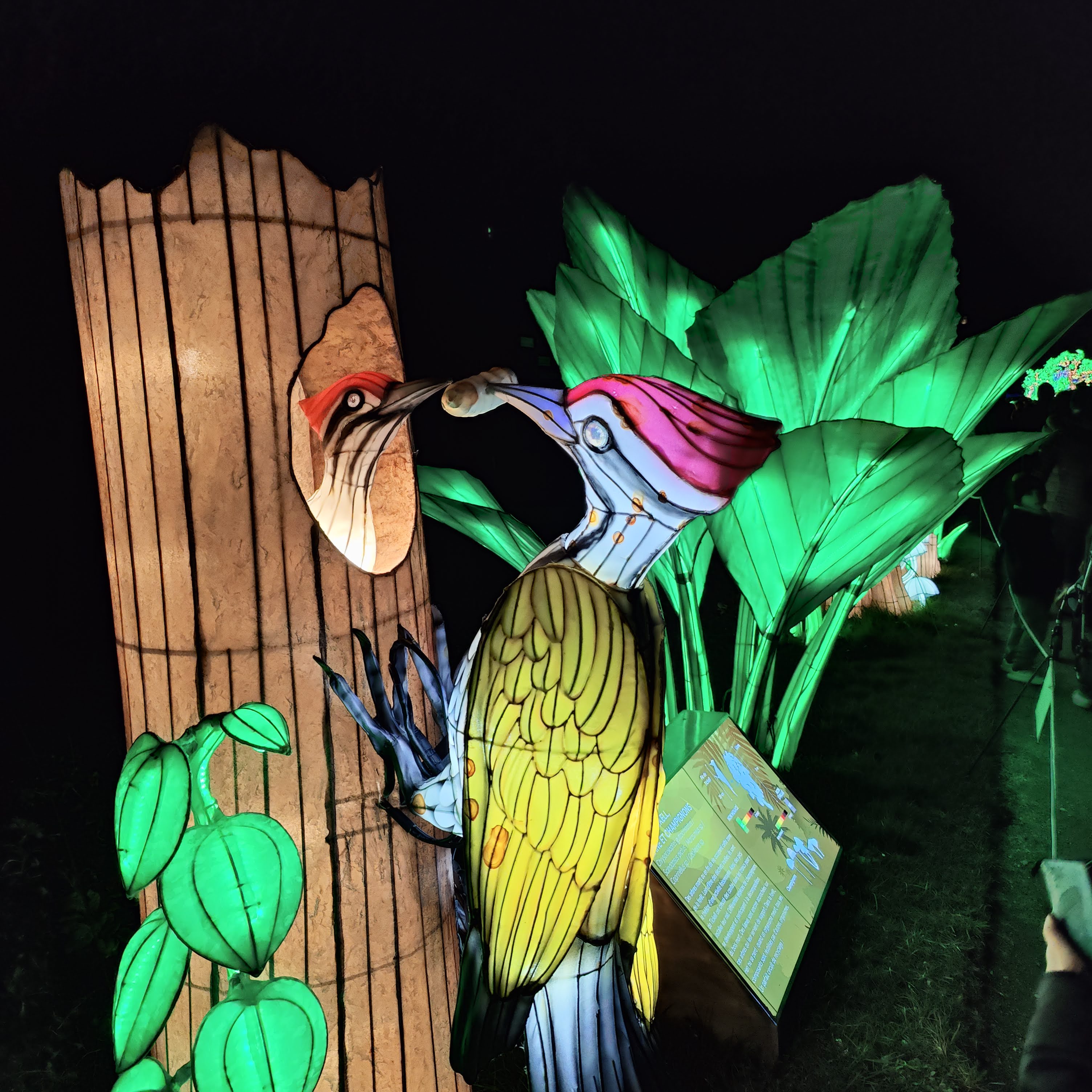 Photo n° 30 de l'avis de Mathieu.H fait le 31/12/2018 à 20:46