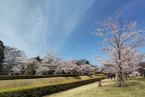 Sakura Castle Ruins Park image