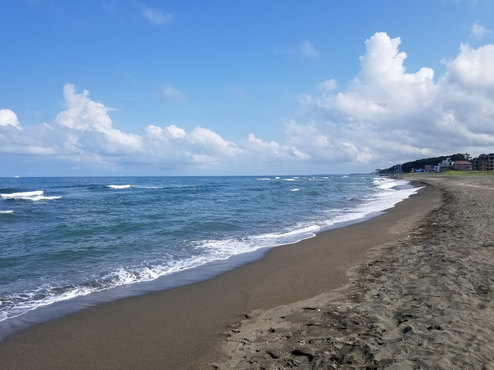 Shekvetili beach'in fotoğrafı siyah kum yüzey ile