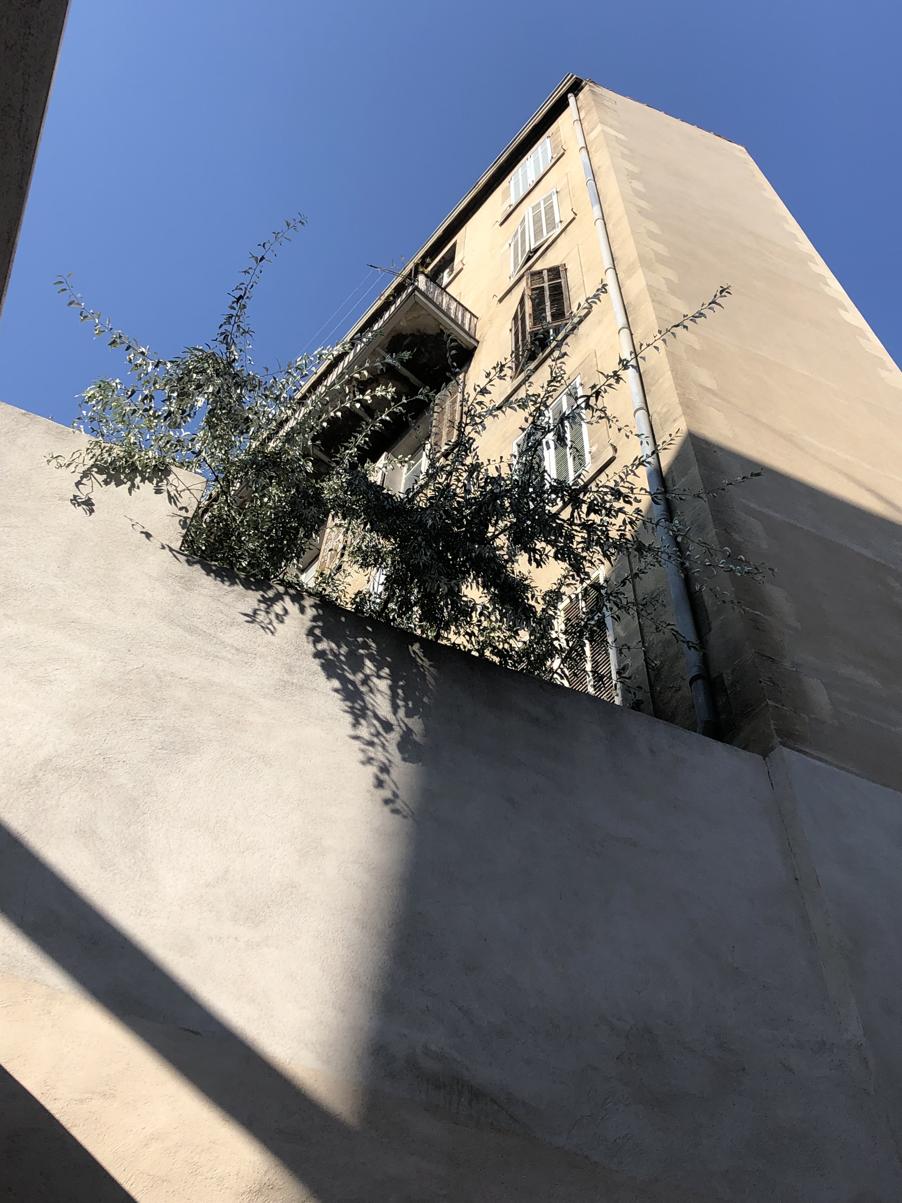 Photo n° 2 de l'avis de Niahn.� fait le 18/08/2021 à 20:30