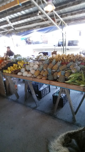 Flea Market «Parkland Flea Market & Restaurant», reviews and photos, 4994 Murfreesboro Rd, Lebanon, TN 37090, USA