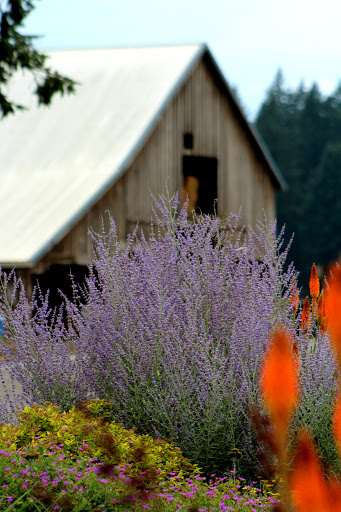 Tourist Attraction «NatureScaping Wildlife Botanical Gardens», reviews and photos, 11000 NE 149th St, Brush Prairie, WA 98606, USA