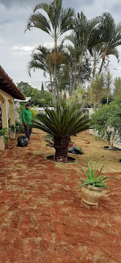 Logo da empresa - MCP Jardinagem e Conservação