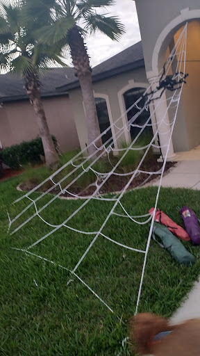 Community Center «AYERSWORTH GLEN», reviews and photos, Ayersworth Glen Blvd, Wimauma, FL 33598, USA