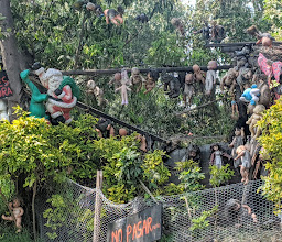 TRAJINERAS NATIVITAS photo