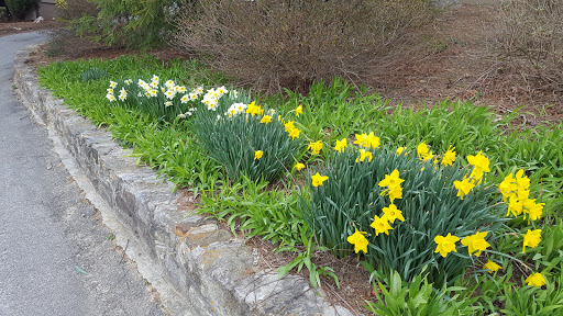 Park «The Park at Flat Rock», reviews and photos, 55 Highland Golf Dr, Flat Rock, NC 28731, USA