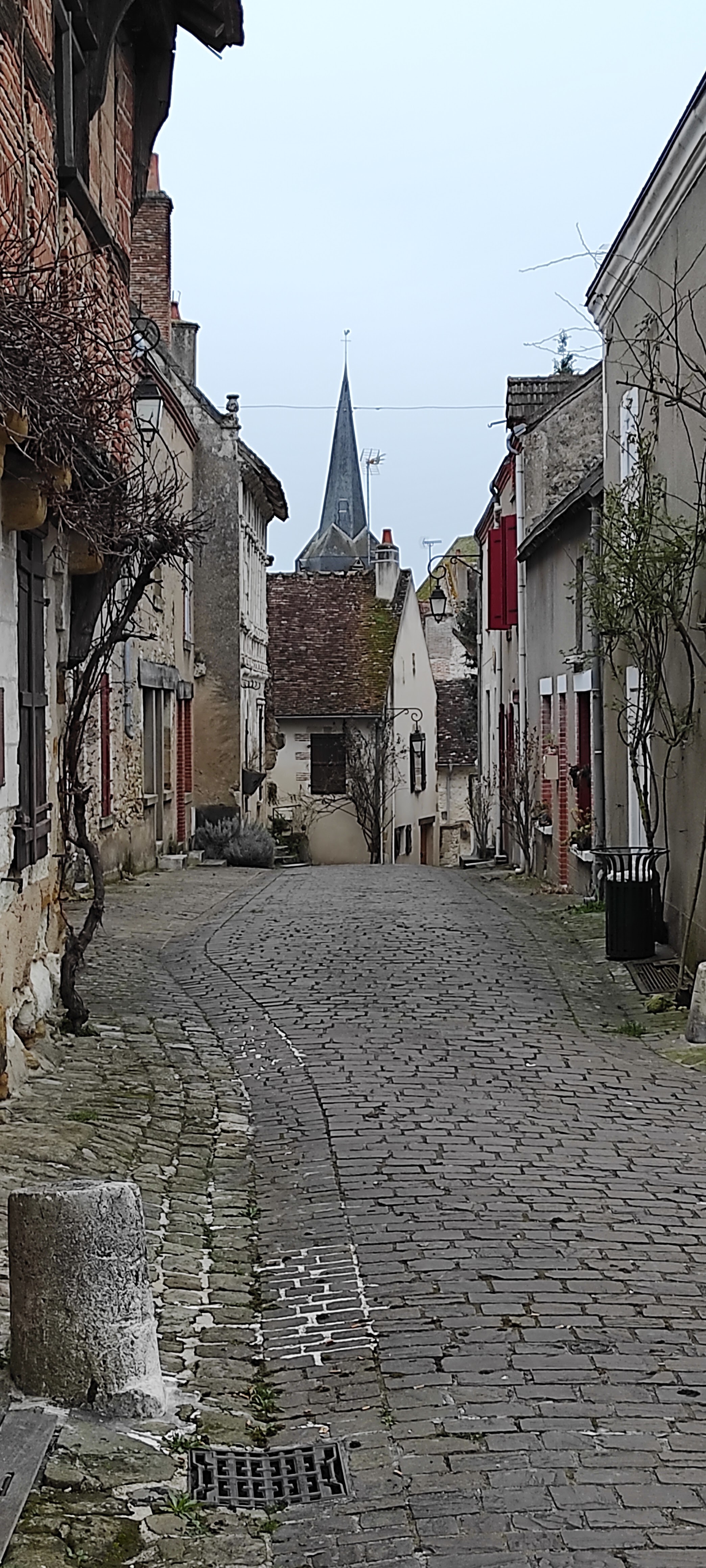 Photo n° 2 de l'avis de fifi.e fait le 23/02/2023 à 16:56