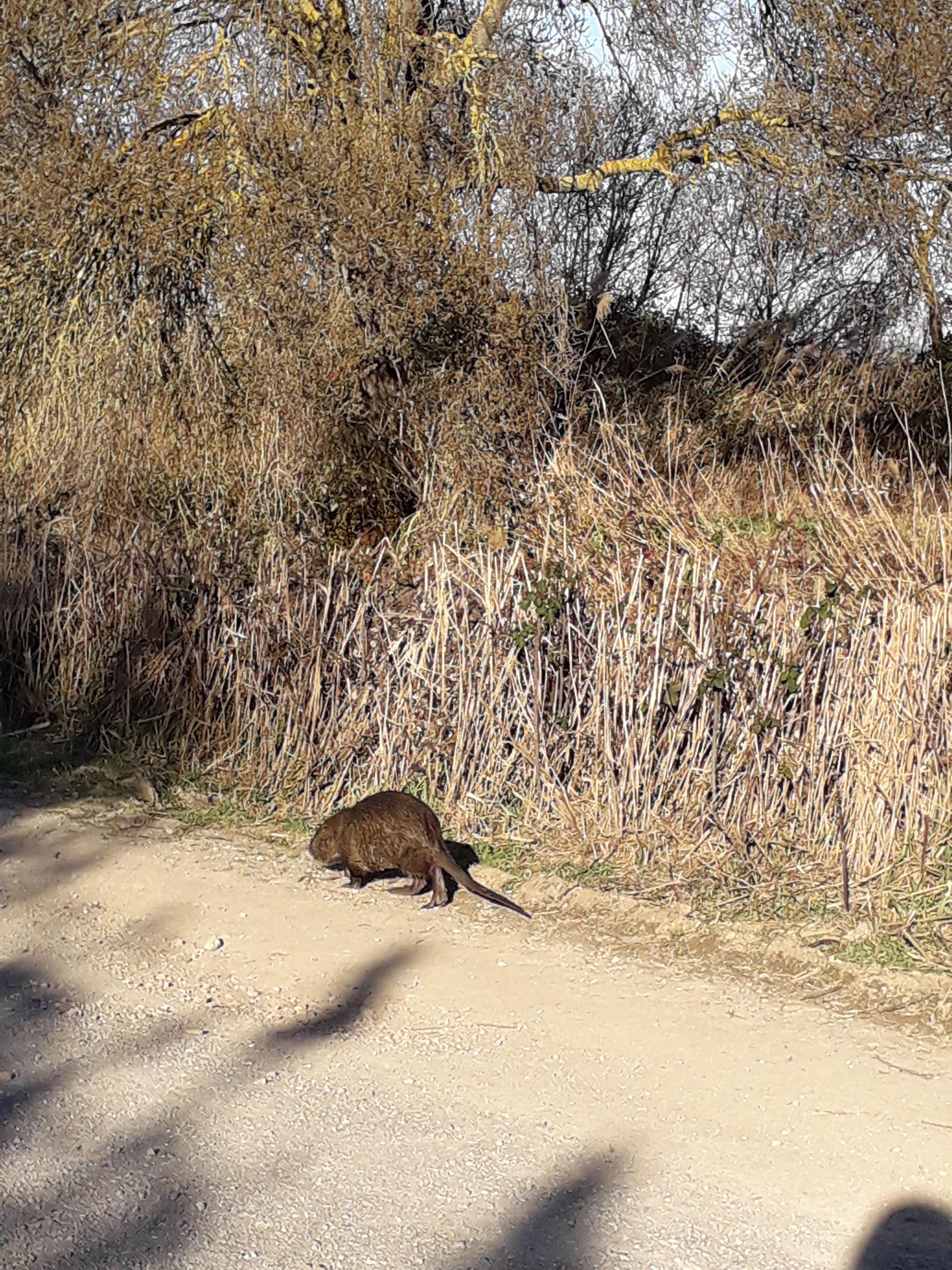 Photo n° 1 de l'avis de D... fait le 19/04/2019 à 17:55