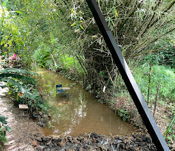 The River coffee photo