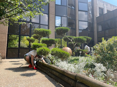 (ré)édition Forest à Montrouge