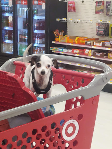 Shopping Mall «Seaview Square Shopping Center», reviews and photos, 1000 NJ-66, Ocean Township, NJ 07712, USA