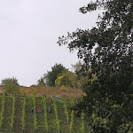 Photo n°6 de l'avis de Stephanie.o fait le 08/10/2019 à 16:29 sur le  Karlsmühle à Mertesdorf