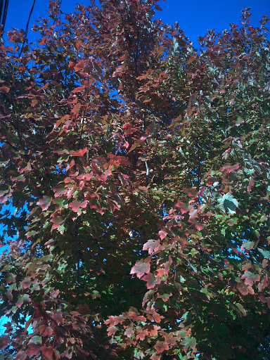 Park «Fords Park», reviews and photos, King Georges Rd, Woodbridge, NJ 07095, USA